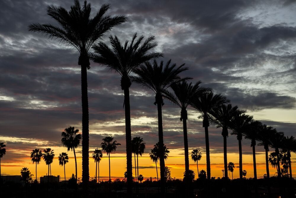 5. Anaheim, CA